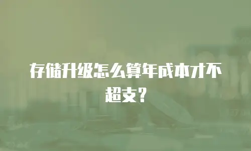 存储升级怎么算年成本才不超支？