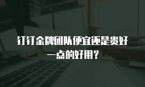 钉钉金牌团队便宜还是贵好一点的好用？