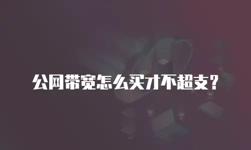 公网带宽怎么买才不超支？