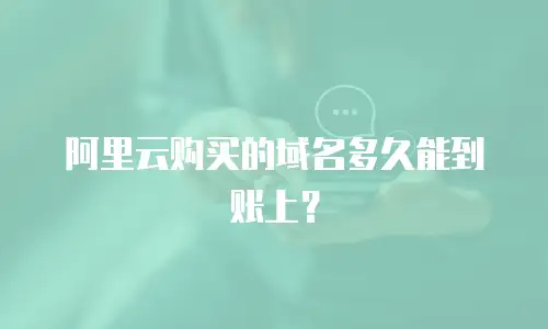阿里云购买的域名多久能到账上？