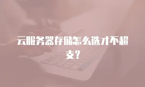 云服务器存储怎么选才不超支？