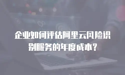 企业如何评估阿里云风险识别服务的年度成本？