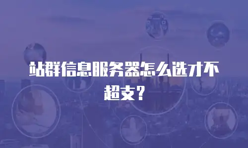 站群信息服务器怎么选才不超支？