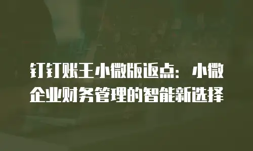 钉钉账王小微版返点：小微企业财务管理的智能新选择