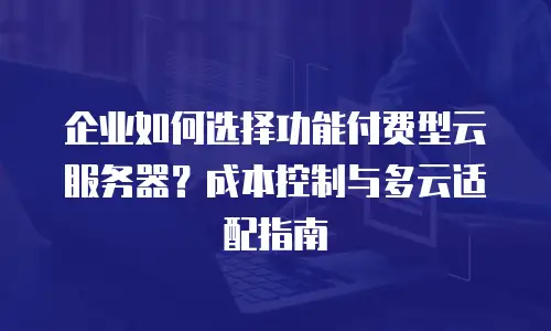 企业如何选择功能付费型云服务器？成本控制与多云适配指南