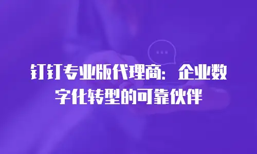 钉钉专业版代理商：企业数字化转型的可靠伙伴
