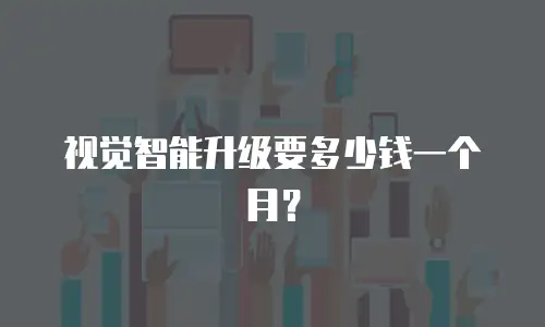 视觉智能升级要多少钱一个月？