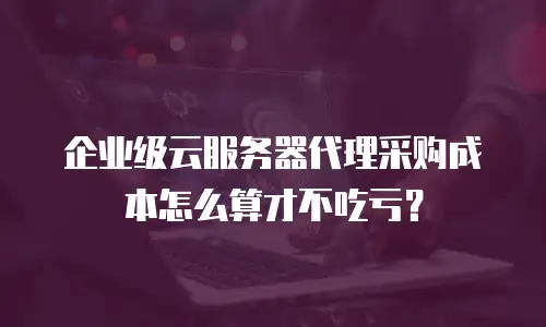 企业级云服务器代理采购成本怎么算才不吃亏？