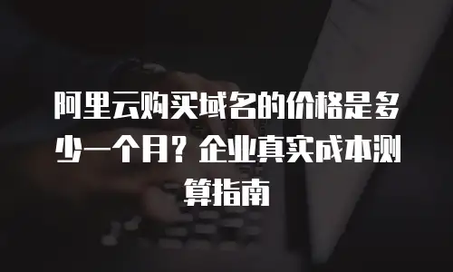 阿里云购买域名的价格是多少一个月？企业真实成本测算指南