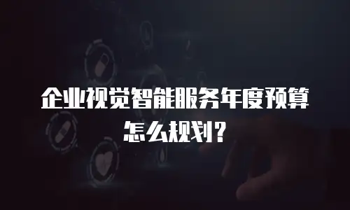 企业视觉智能服务年度预算怎么规划？