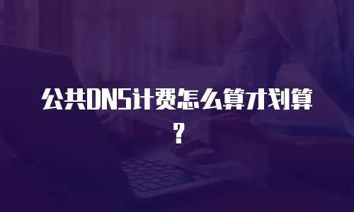 公共DNS计费怎么算才划算？
