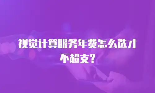 视觉计算服务年费怎么选才不超支？