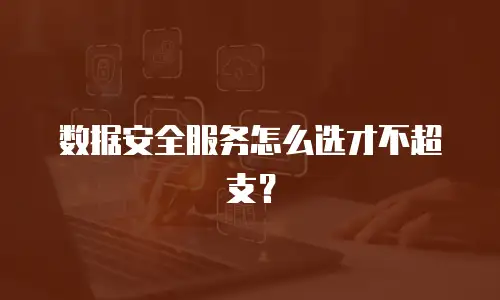 数据安全服务怎么选才不超支？