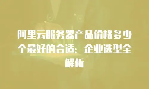 阿里云服务器产品价格多少个最好的合适：企业选型全解析