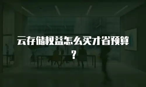 云存储权益怎么买才省预算？