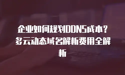 企业如何规划DDNS成本？多云动态域名解析费用全解析
