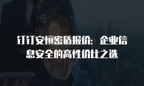 钉钉安恒密盾报价：企业信息安全的高性价比之选