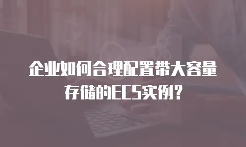 企业如何合理配置带大容量存储的ECS实例？