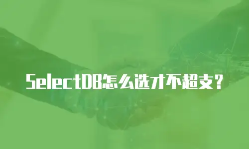 SelectDB怎么选才不超支？