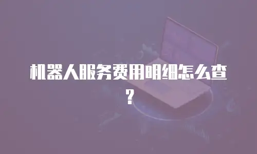 机器人服务费用明细怎么查？