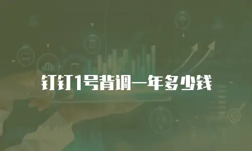 钉钉1号背调一年多少钱