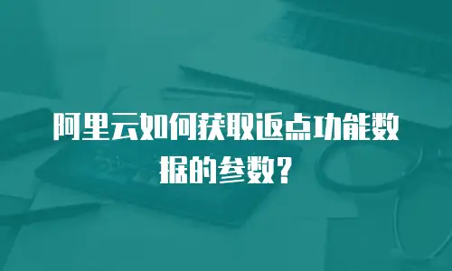 阿里云如何获取返点功能数据的参数？