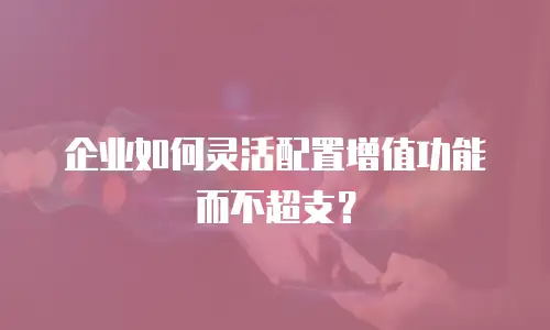 企业如何灵活配置增值功能而不超支？
