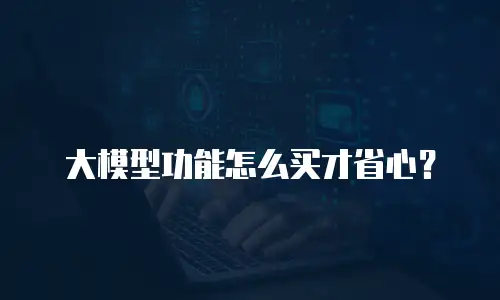 大模型功能怎么买才省心？