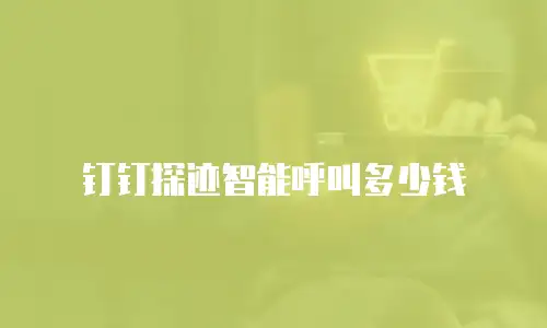 钉钉探迹智能呼叫多少钱