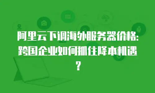 阿里云下调海外服务器价格：跨国企业如何抓住降本机遇？