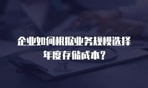 企业如何根据业务规模选择年度存储成本？