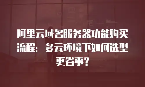 阿里云域名服务器功能购买流程：多云环境下如何选型更省事？