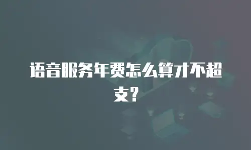 语音服务年费怎么算才不超支？