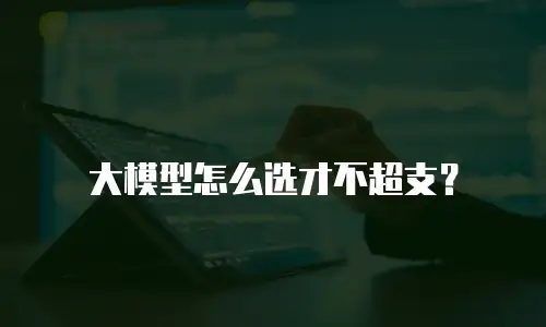 大模型怎么选才不超支？