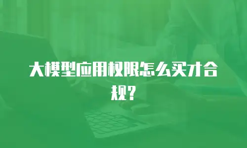 大模型应用权限怎么买才合规？