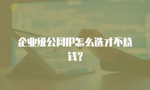 企业级公网IP怎么选才不烧钱？