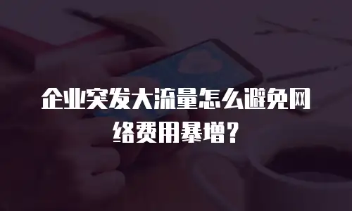 企业突发大流量怎么避免网络费用暴增？