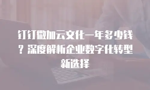 钉钉微加云文化一年多少钱？深度解析企业数字化转型新选择
