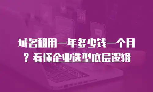 域名租用一年多少钱一个月？看懂企业选型底层逻辑