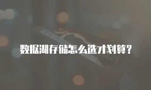 数据湖存储怎么选才划算？