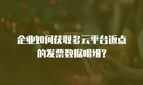 企业如何获取多云平台返点的发票数据明细？