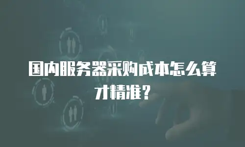 国内服务器采购成本怎么算才精准？
