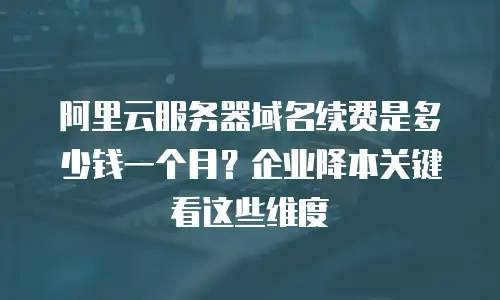 阿里云服务器域名续费是多少钱一个月？企业降本关键看这些维度