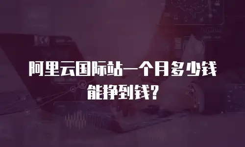 阿里云国际站一个月多少钱能挣到钱？
