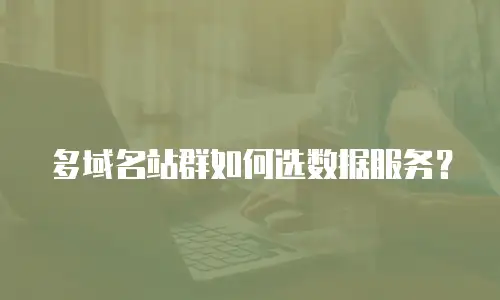 多域名站群如何选数据服务？