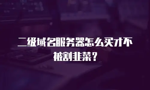 二级域名服务器怎么买才不被割韭菜？
