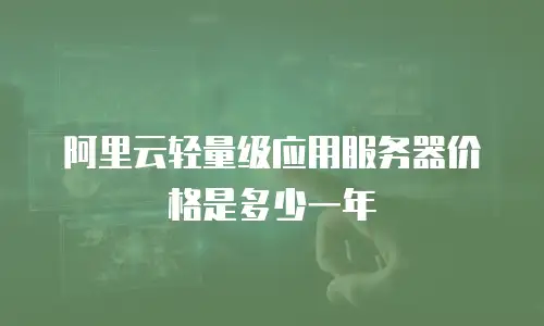 阿里云轻量级应用服务器价格是多少一年