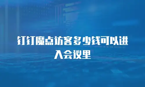 钉钉魔点访客多少钱可以进入会议里