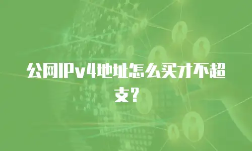 公网IPv4地址怎么买才不超支？