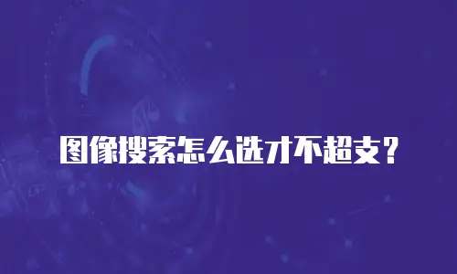 图像搜索怎么选才不超支？